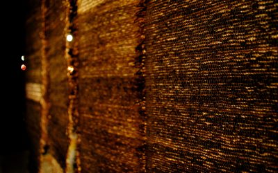 50 Shades of Green : Come down to Earth