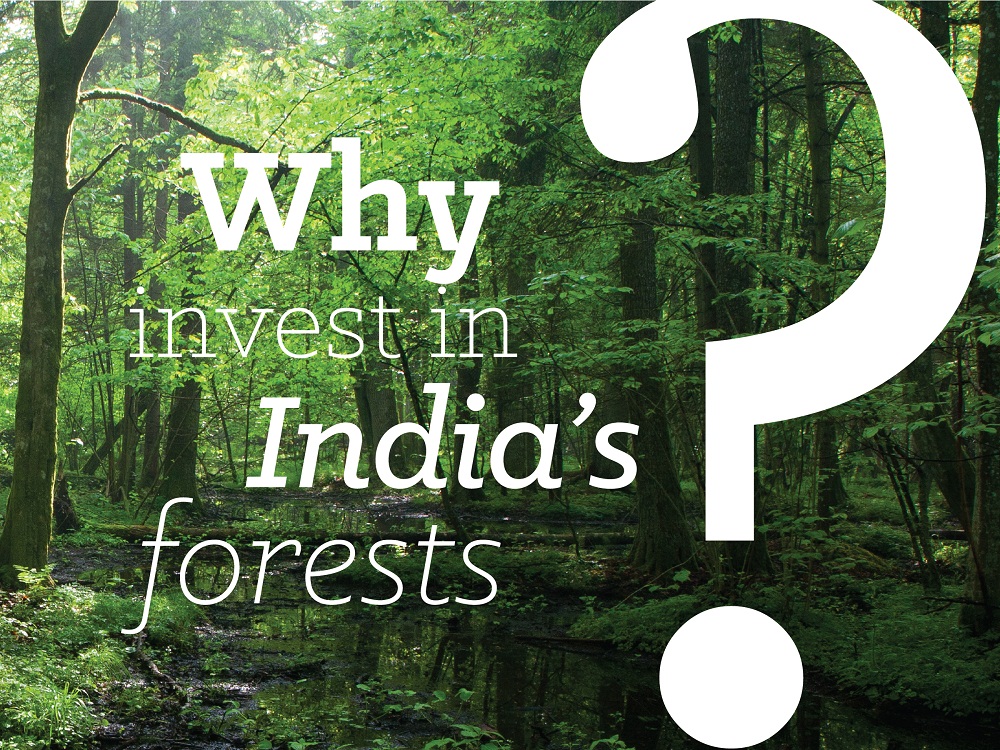 Forestry Infographics on India